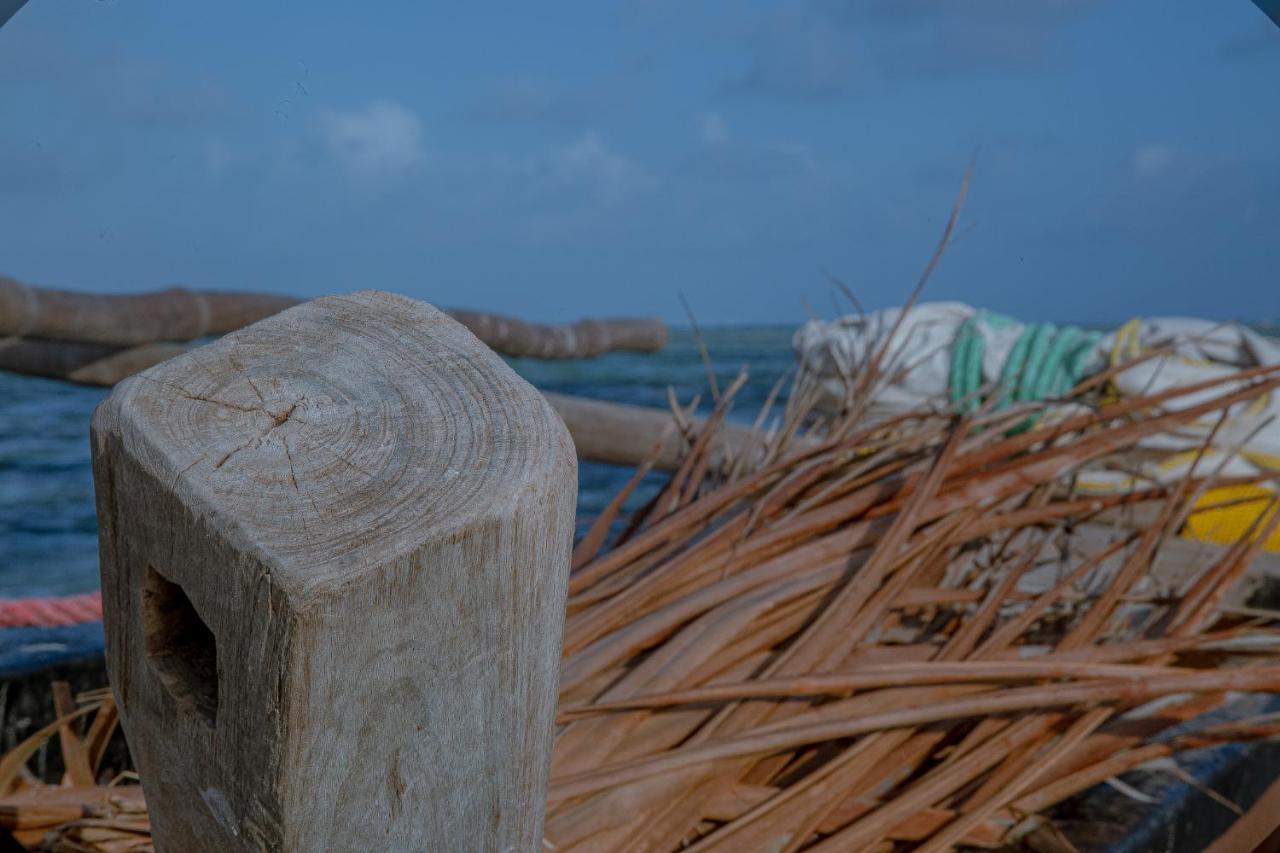 Afriican Village Zanzibar Michamvi Eksteriør billede