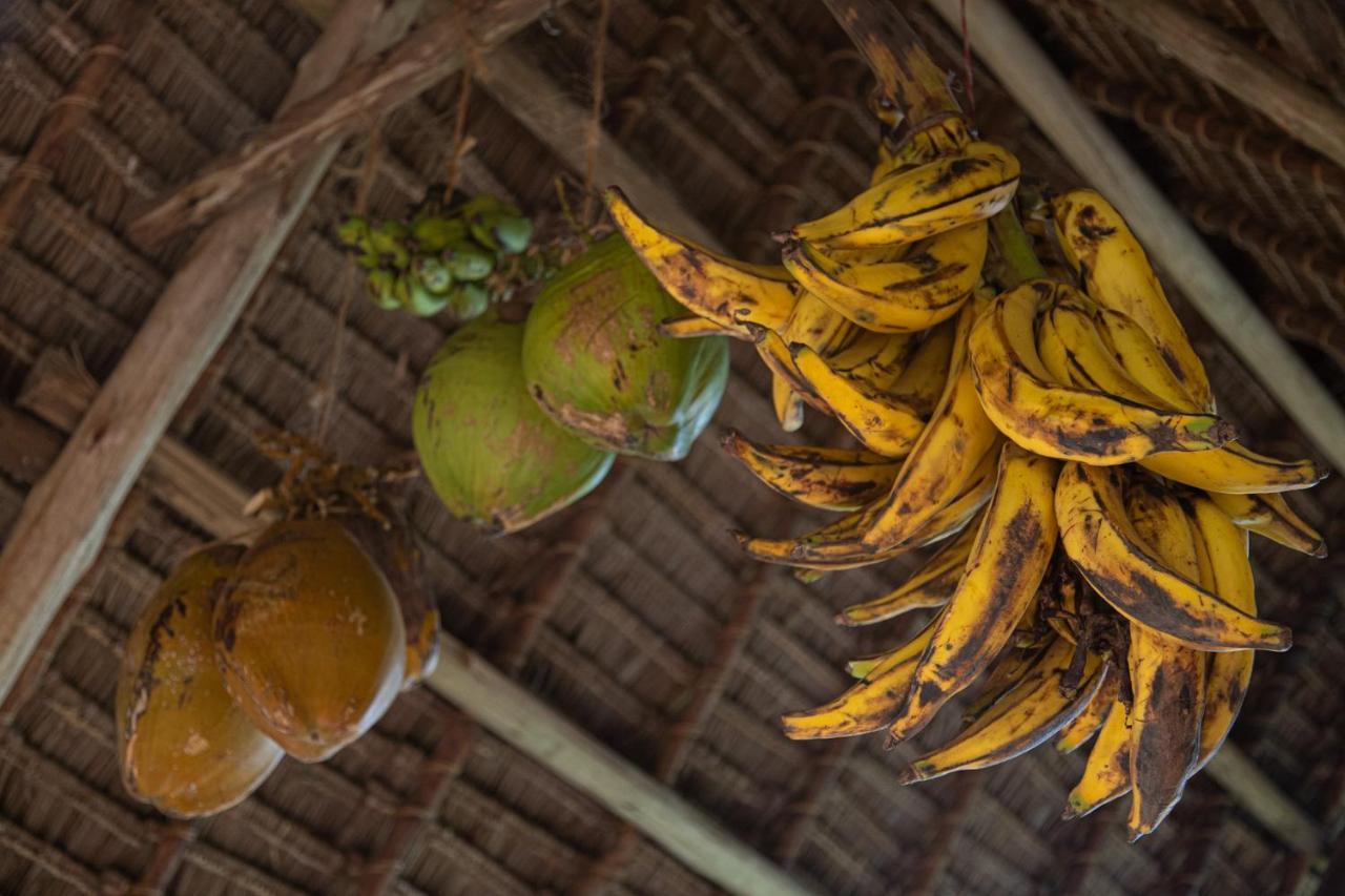 Afriican Village Zanzibar Michamvi Eksteriør billede