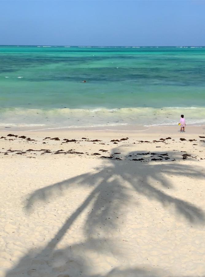 Afriican Village Zanzibar Michamvi Eksteriør billede