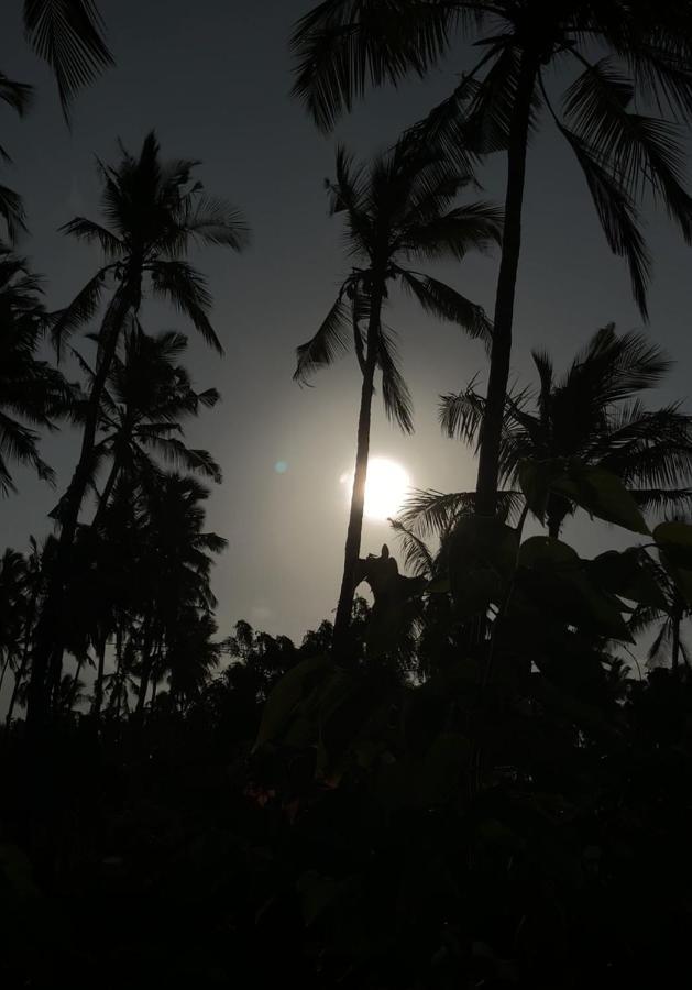 Afriican Village Zanzibar Michamvi Eksteriør billede