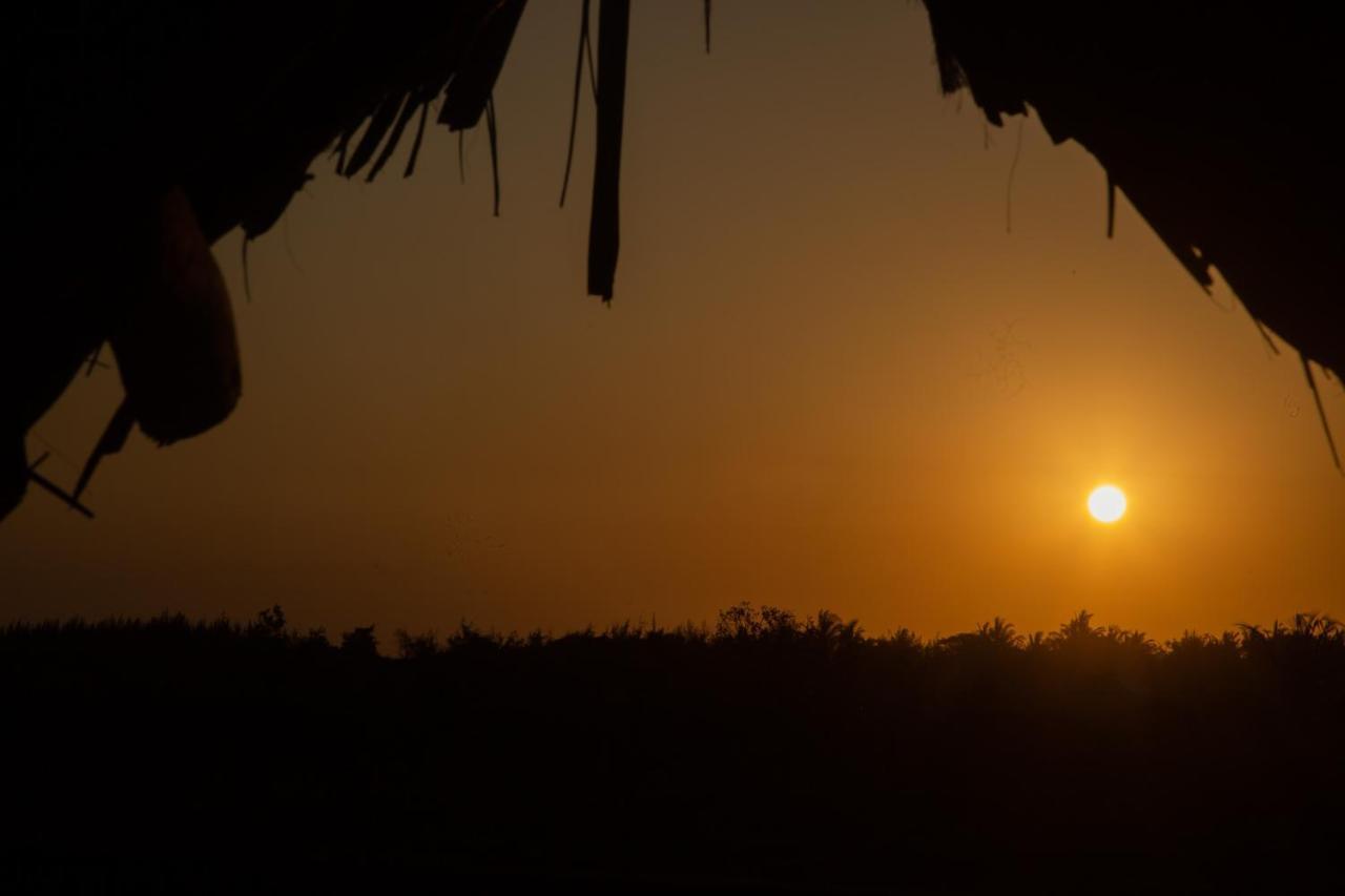 Afriican Village Zanzibar Michamvi Eksteriør billede